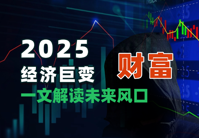 2025经济巨变！一文解读未来风口，助你实现财富自由！  -老杨电玩